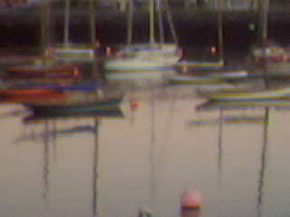 Boats in Harbor.jpg